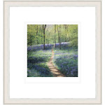 Spring Shadows