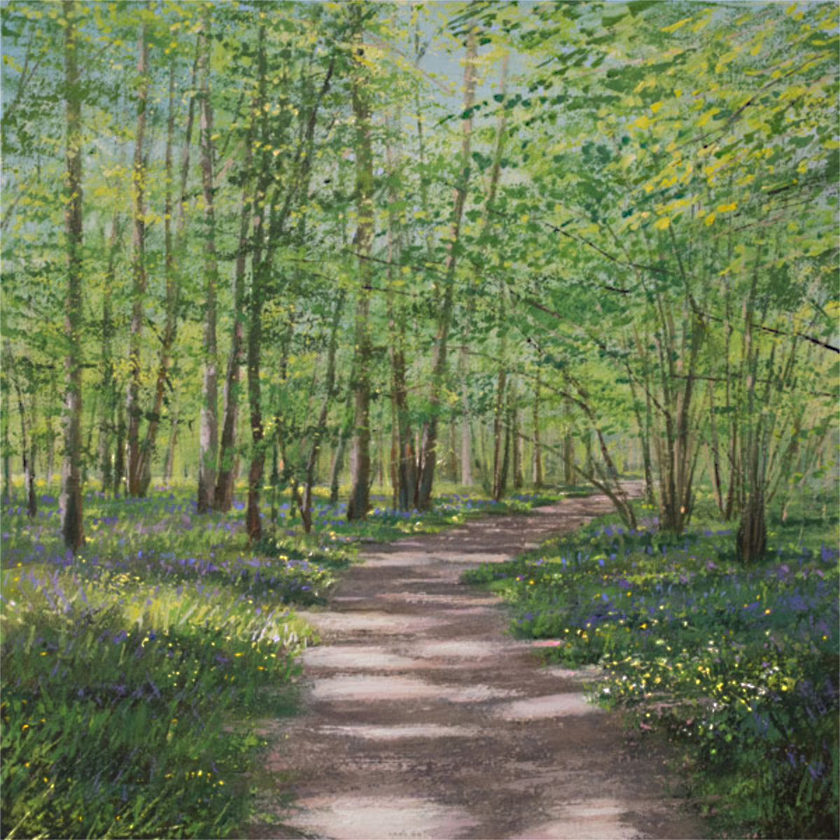 Through The Bluebells