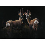 Two In A Roe - Roe Deer