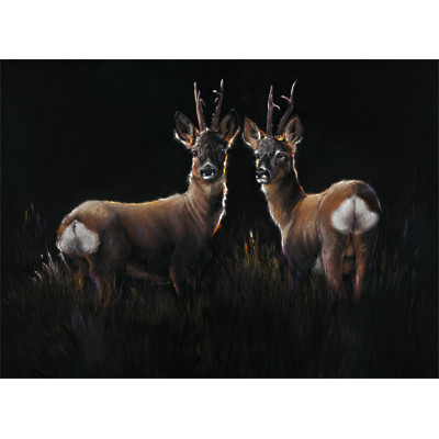 Two In A Roe - Roe Deer