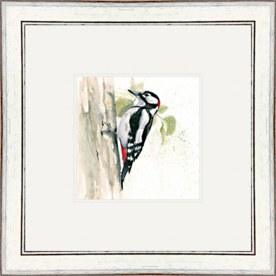 Who's There ? (Greater Spotted Woodpecker)